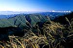 Marchant Ridge, Wairarapa