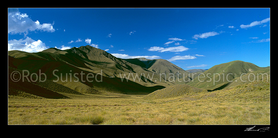 Image of Lindis Pass tussock hill country, Central Otago, Central Otago District, Otago Region, New Zealand (NZ) stock photo image