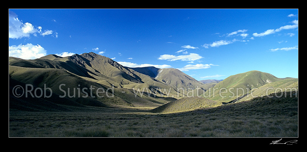 Image of Lindis Pass tussock hill country in beautiful light, Central Otago, Central Otago District, Otago Region, New Zealand (NZ) stock photo image