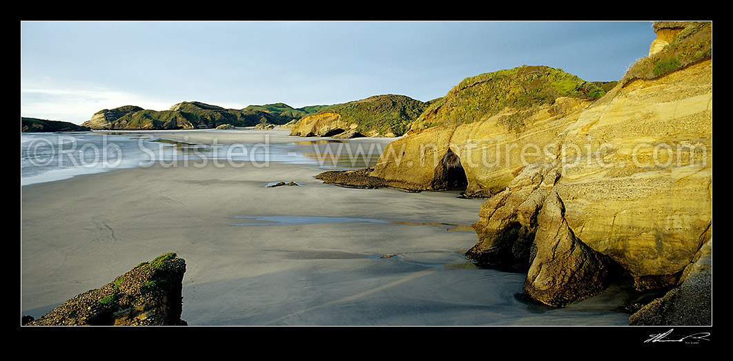 Image of The wide Wharariki Beach and sea cliffs; Puponga Farm Park, Farewell Spit, Golden Bay, Tasman District, Tasman Region, New Zealand (NZ) stock photo image