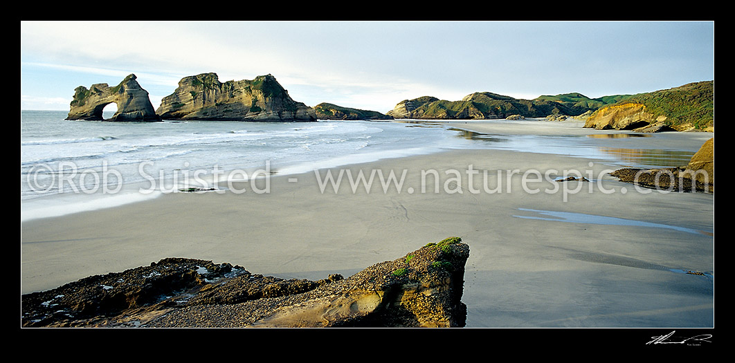 Image of The Archway Islands and Wharariki Beach; Puponga Farm Park, Farewell Spit, Golden Bay, Tasman District, Tasman Region, New Zealand (NZ) stock photo image