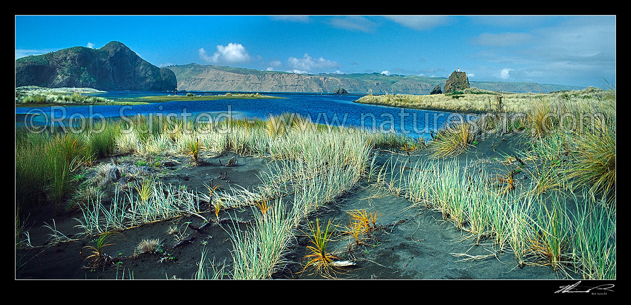 Image of Manukau Harbour entrance from Whatipu Beach. Paratutae Is. centre left, Pingao sand dune plant in foreground, Auckland, Waitakere City District, Auckland Region, New Zealand (NZ) stock photo image