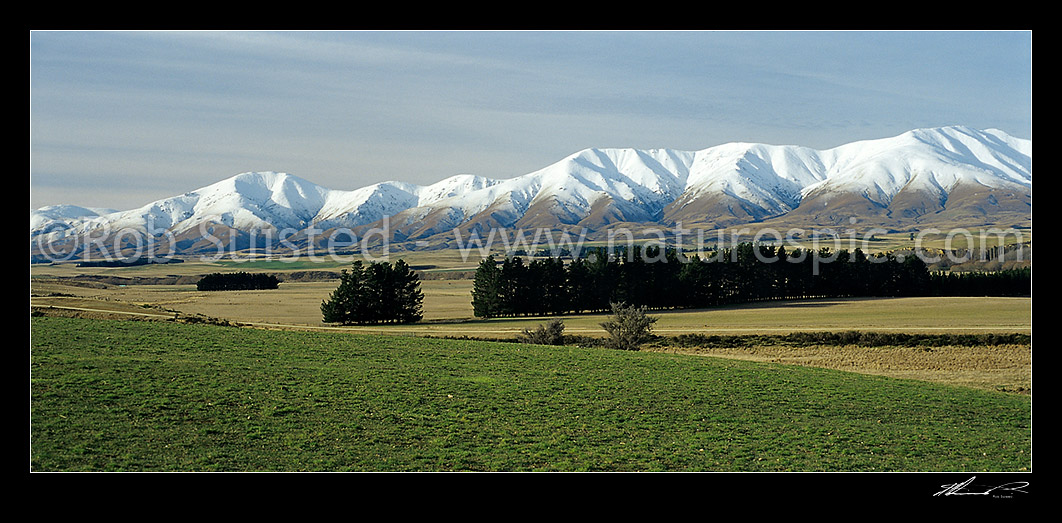 Image of Farmland in front of the snow covered Kakanui Mountains, Central Otago, Otago - Central, Central Otago District, Otago Region, New Zealand (NZ) stock photo image