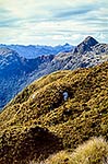 Fiordland wilderness