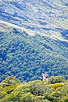 Fiordland visitors