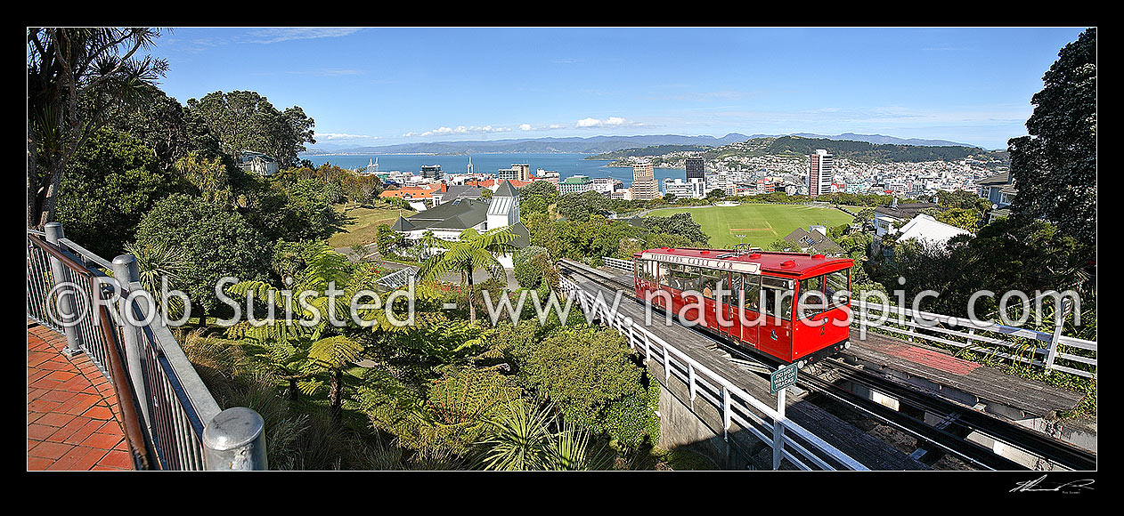 Image of Panorama from top of the Wellington Cable car over the city and harbour from Botanical gardens at Kelburn, Wellington, Wellington City District, Wellington Region, New Zealand (NZ) stock photo image