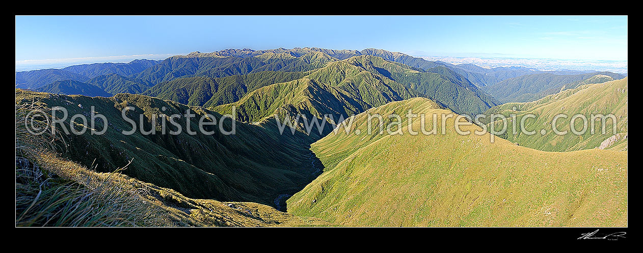 Image of Panorama north along the Southern Main Range of the Tararua Ranges from Field Peak (1483m) towards Maungahuka and main range. Hector River below, Wairarapa right, Tararua Forest Park, Kapiti Coast District, Wellington Region, New Zealand (NZ) stock photo image