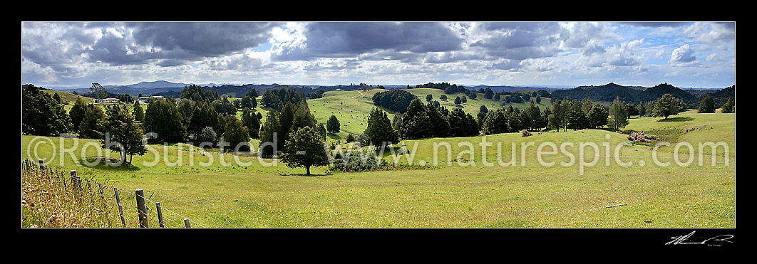 Image of Panoramic view of tree spotted farmland pasture and paddocks, Kawakawa, Far North District, Northland Region, New Zealand (NZ) stock photo image