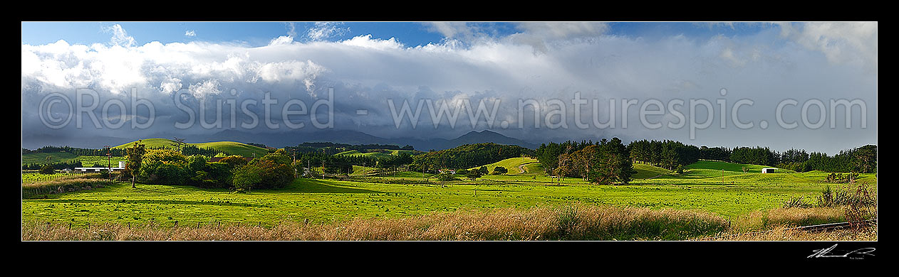 Image of Panoramic view over lush diary farmland paddocks below the Ruahine Ranges, with rain clouds gathering on the mountains, Dannevirke, Tararua District, Manawatu-Wanganui Region, New Zealand (NZ) stock photo image