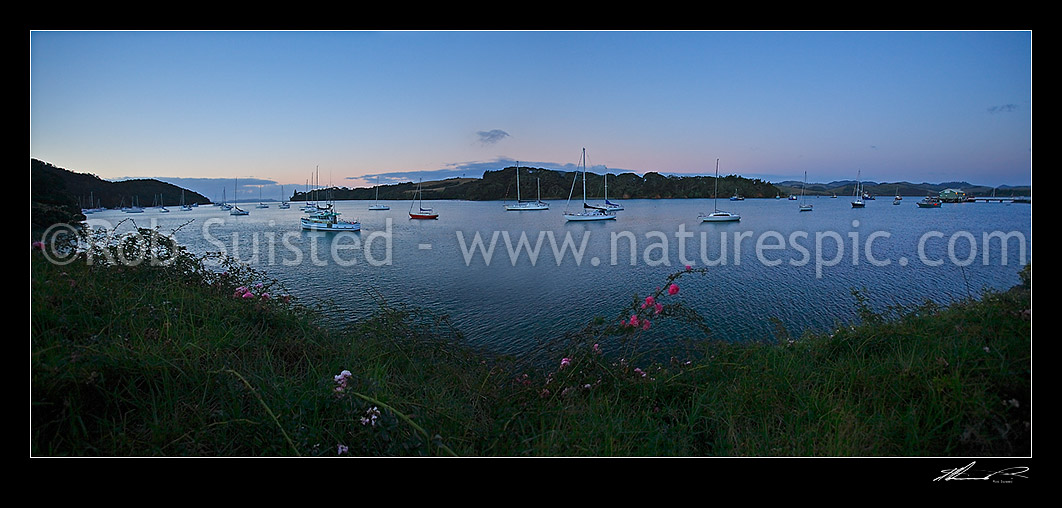 Image of Yachts and fishing boats moored inside Mangonui Harbour at twilight dusk, Mangonui, Far North District, Northland Region, New Zealand (NZ) stock photo image