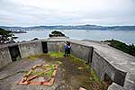 Wellington WWII defences