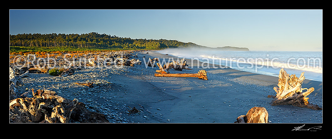 Image of Gillespies Beach on the South Westland coast. Panorama of driftwood, pingao grass, rainforest and waves in morning light, Gillespies Beach, Westland District, West Coast Region, New Zealand (NZ) stock photo image