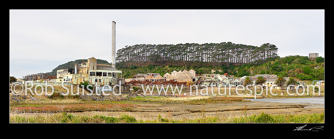 Image of Patea freezing works site after fire in derelict buildings that created asbestos hazards for community, Patea, South Taranaki District, Taranaki Region, New Zealand (NZ) stock photo image