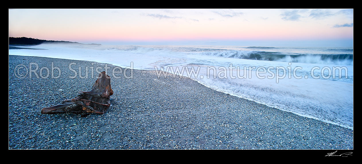 Image of Gillespies Beach on the wild South Westland coast. Panorama of waves, driftwood and shingle pebble beach early morning light before sun up, Gillespies Beach, Westland District, West Coast Region, New Zealand (NZ) stock photo image