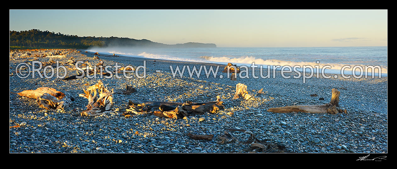 Image of Gillespies Beach on the South Westland coast. Panorama of driftwood, pingao grass, rainforest and waves in morning light, Gillespies Beach, Westland District, West Coast Region, New Zealand (NZ) stock photo image