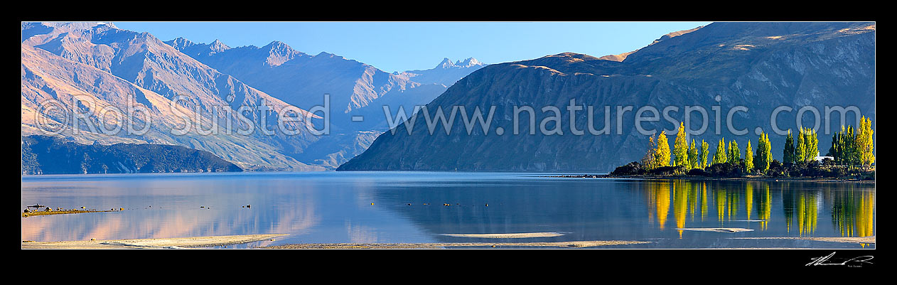 Image of Lake Wanaka panorama with autumn coloured poplar trees reflecting in lake. Bremner Bay. Minaret Peaks distance centre, Lake Wanaka, Queenstown Lakes District, Otago Region, New Zealand (NZ) stock photo image