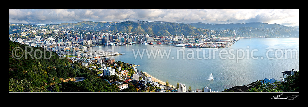 Image of Wellington City and Harbour from Mount Victoria with fountain playing at Oriental Bay, on a still autumn morning. Panorama, Wellington, Wellington City District, Wellington Region, New Zealand (NZ) stock photo image