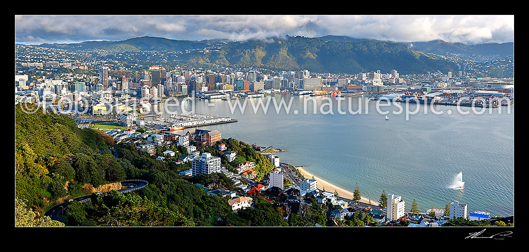 Image of Wellington City and Harbour from Mount Victoria with fountain playing at Oriental Bay, on a still autumn morning. Panorama, Wellington, Wellington City District, Wellington Region, New Zealand (NZ) stock photo image