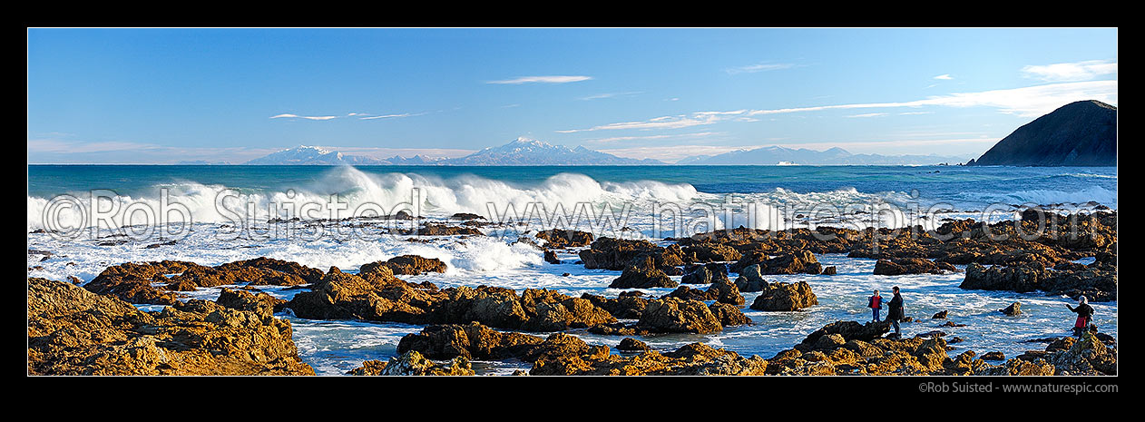 Image of Wild Wellington south coast. Waves rolling in from Cook Strait with Interislander Ferry crossing and Seaward and Inland Kaikoura Ranges beyond. Family looking on. Panorama, Wellington, Wellington City District, Wellington Region, New Zealand (NZ) stock photo image