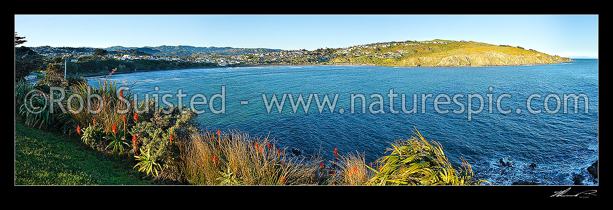 Image of Titahi Bay suburb beach panorama, Titahi Bay, Porirua City District, Wellington Region, New Zealand (NZ) stock photo image