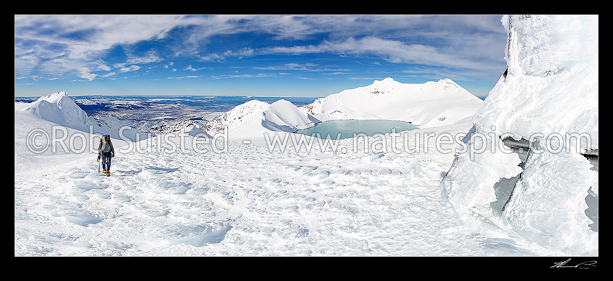 Image of Tramper climbing towards Dome Shelter (ice encrusted) near summit and Crater Lake of Mount Ruapehu (2797m Tahurangi Peak centre right). Ice textures in panorama, Tongariro National Park, Ruapehu District, Manawatu-Wanganui Region, New Zealand (NZ) stock photo image