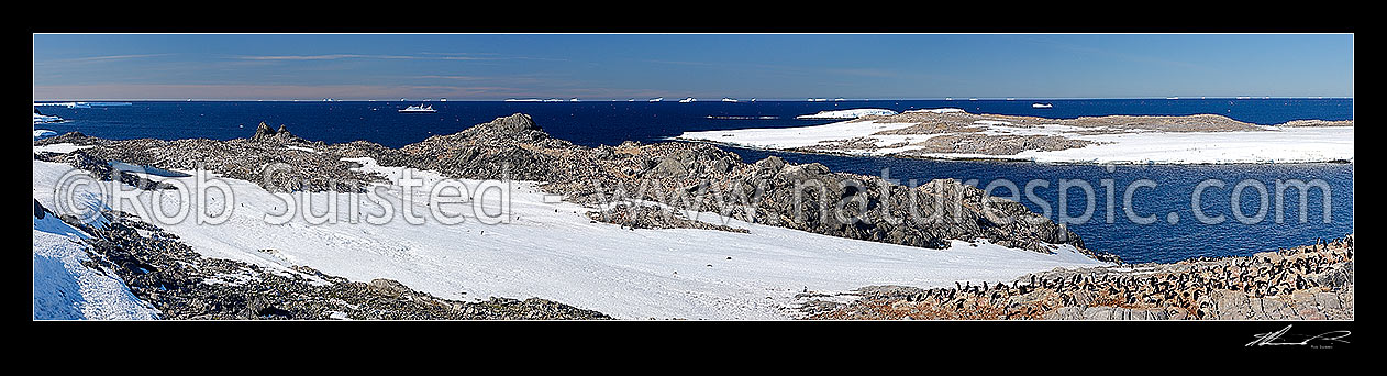 Image of Antarctic continent panorama in French sector, Cape Jewels, near Dumont d'Urville Station. Adelie penguins and rookeries on rocks (Pygoscelis adeliae). Idyllic harbour with cruise ship MV Orion anchored off. Panorama, Cape Jewels, George V land, Antarctica Region, Antarctica stock photo image