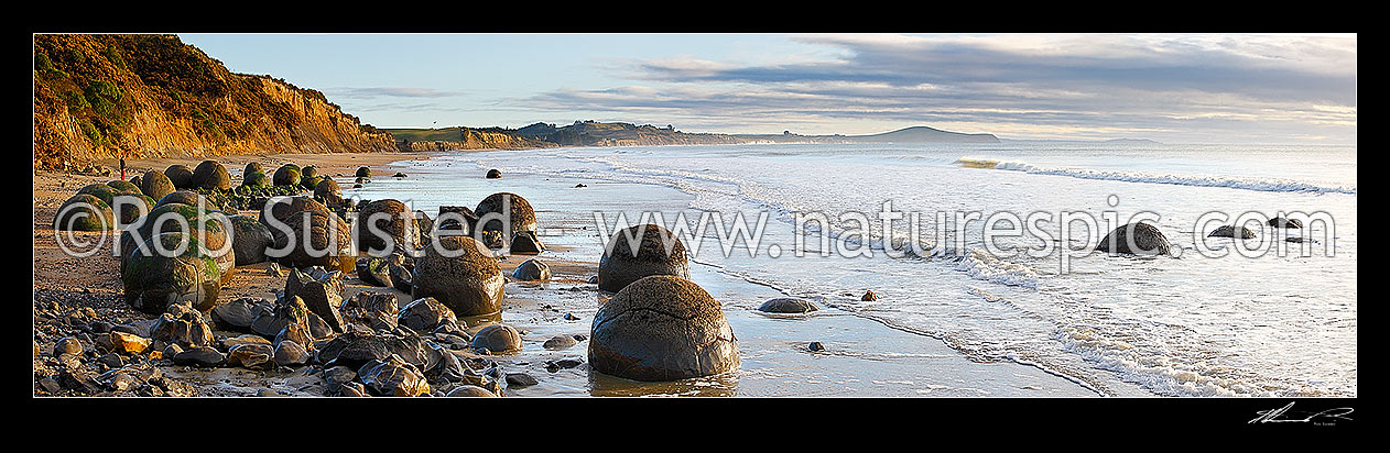 Image of Moeraki Boulders / Kaihinaki on Koekohe Beach. 60 Million year old mudstone concretions. Lookout Bluff beyond. Panorama, Moeraki, Waitaki District, Otago Region, New Zealand (NZ) stock photo image