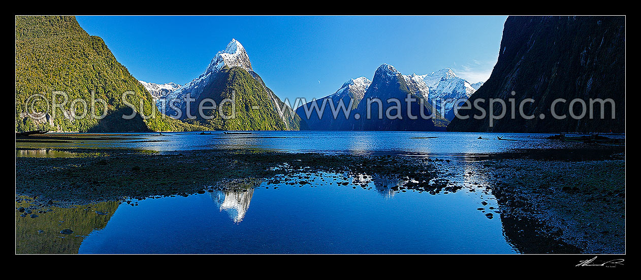 Image of Mitre Peak reflecting in Milford Sound. Mitre Peak left (1683m), Stirling Falls centre, The Lion (1302m) and Mt Pembroke (2015m) right centre. Panorama, Milford Sound, Fiordland National Park, Southland District, Southland Region, New Zealand (NZ) stock photo image