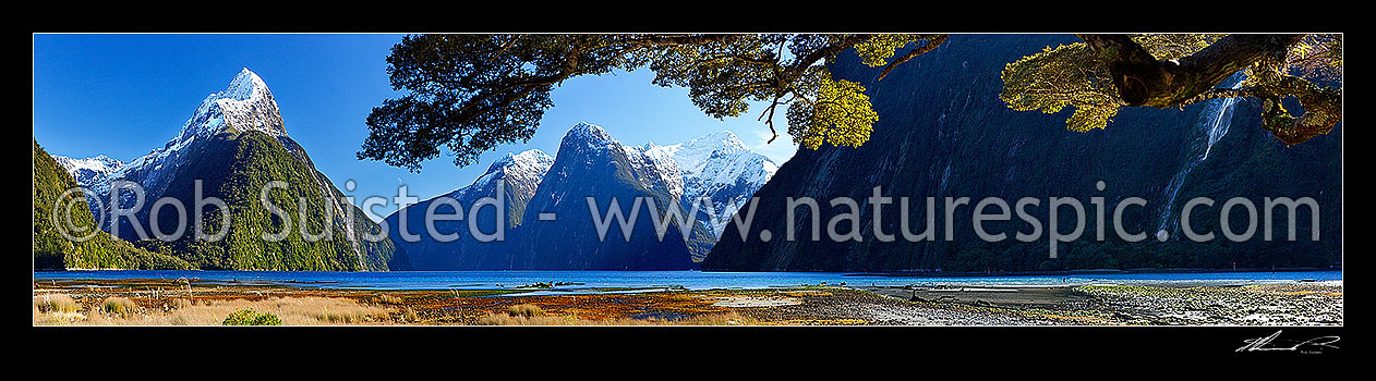 Image of Mitre Peak in Milford Sound. Mitre Peak left (1683m), The Lion (1302m) and Mt Pembroke (2015m) centre. Panorama under beech trees, Milford Sound, Fiordland National Park, Southland District, Southland Region, New Zealand (NZ) stock photo image