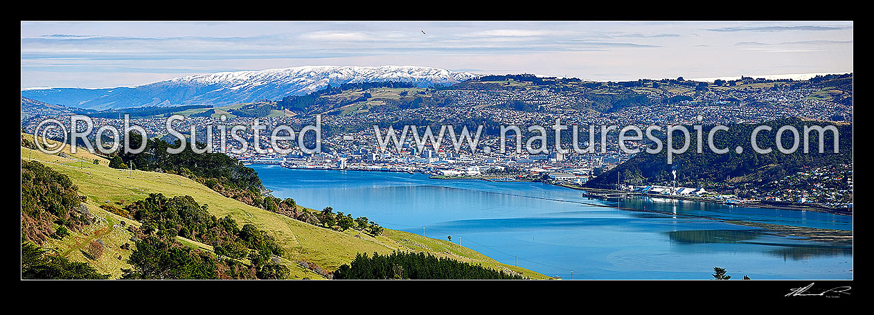 Image of Dunedin City panorama, looking up Otago Harbour toward the City, Dunedin City, Dunedin City District, Otago Region, New Zealand (NZ) stock photo image