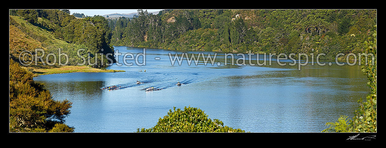 Image of Lake Karapiro with rowing teams of rowers training on lake with support boats and coaches. Panorama, Lake Karapiro, Cambridge, Waipa District, Waikato Region, New Zealand (NZ) stock photo image