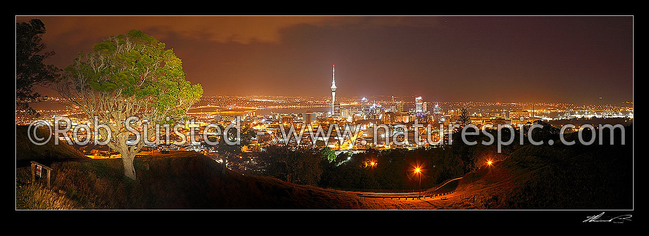 Image of Auckland City night time panorama from Mount Albert, with Sky Tower, CDB buildings and Harbour Bridge visible, Auckland City, Auckland City District, Auckland Region, New Zealand (NZ) stock photo image