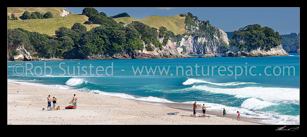 Image of Whiritoa Beach panorama scene with people enjoying swimming, surfing, walking, sunbathing and kayaking in summer warmth. Coromandel Peninsula, Whiritoa, Hauraki District, Waikato Region, New Zealand (NZ) stock photo image