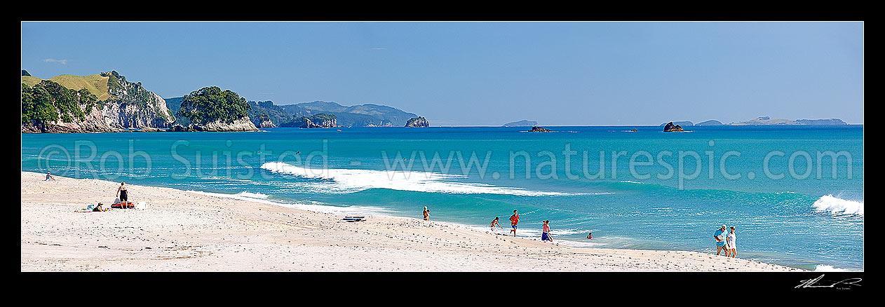 Image of Whiritoa Beach panorama scene with people enjoying swimming, surfing, walking, sunbathing and kayaking in summer warmth. Coromandel Peninsula, Whiritoa, Hauraki District, Waikato Region, New Zealand (NZ) stock photo image