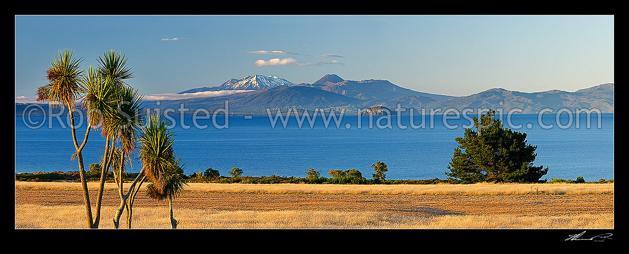 Image of Lake Taupo panorama with Central Plateau volcanic mountains beyond, Mountains Ruapehu, Ngauruhoe and Tongariro and National Park, Taupo, Taupo District, Waikato Region, New Zealand (NZ) stock photo image