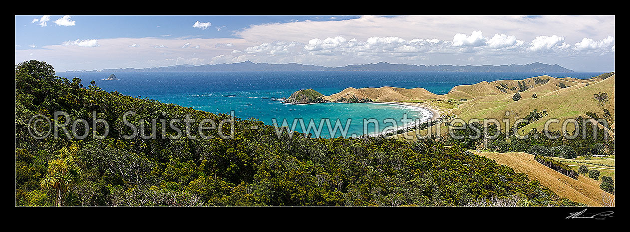 Image of Cape Colville (centre) and Port Jackson bay and beach at northern end of Coromandel Peninsula. Great Barrier (Aotea) Island beyond. Panorama, Cape Colville, Thames-Coromandel District, Waikato Region, New Zealand (NZ) stock photo image