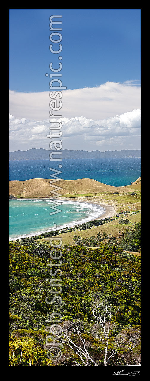 Image of Cape Colville and Port Jackson bay and beach at northern end of Coromandel Peninsula. Great Barrier (Aotea) Island beyond. Vertical panorama, Cape Colville, Thames-Coromandel District, Waikato Region, New Zealand (NZ) stock photo image