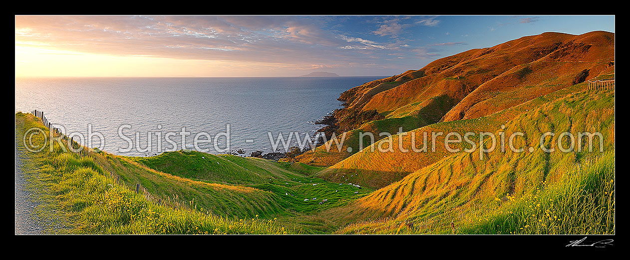 Image of Coromandel panorama looking north from near Cape Colville to Little Barrier Island (Hauturu) on beaut summer evening sunset. Farmland and dirt road, Cape Colville, Thames-Coromandel District, Waikato Region, New Zealand (NZ) stock photo image