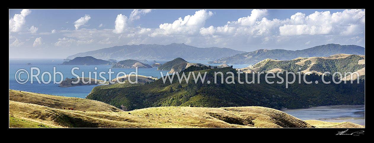 Image of Overlooking farmland towards Coromandel Harbour and Coromandel town (centre). Manaia Harbour foreground. Moehau Range distant. Panorama, Coromandel, Thames-Coromandel District, Waikato Region, New Zealand (NZ) stock photo image