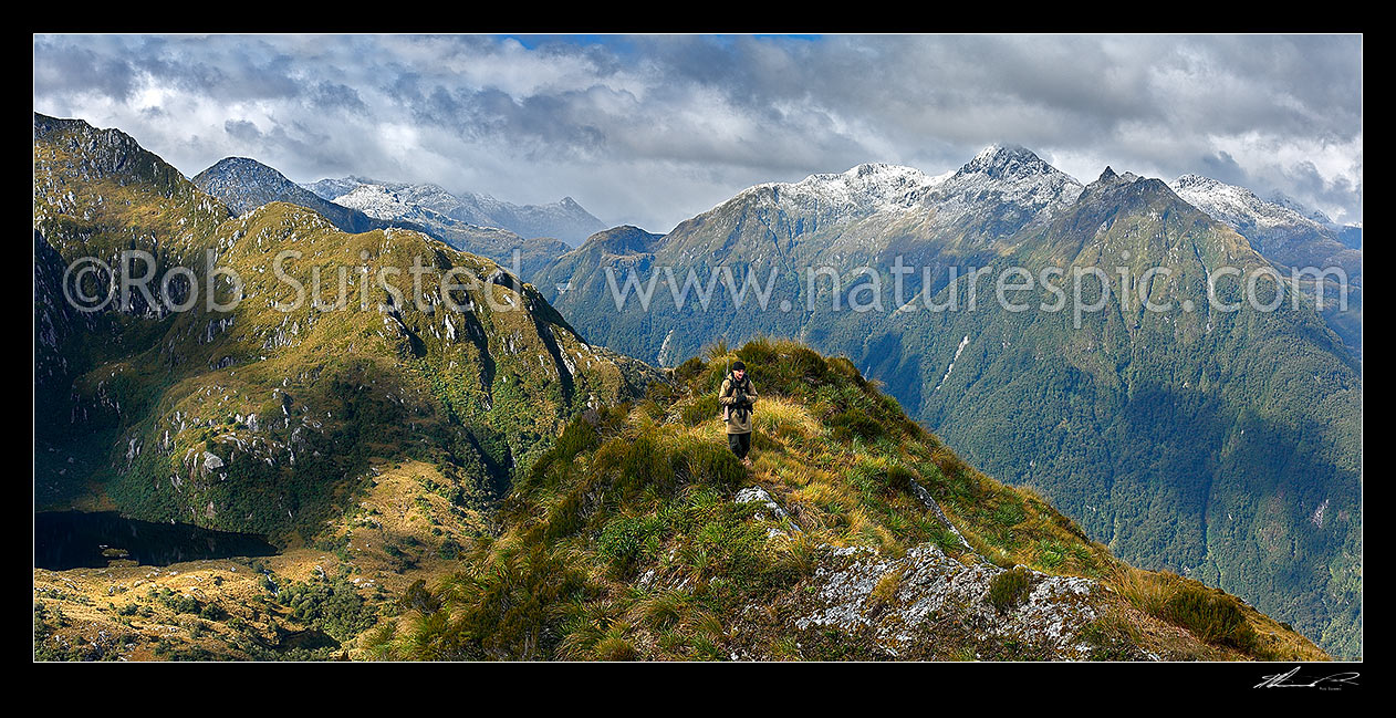 Image of High above the Edith River, Glaisnock Wilderness Area. Edith Saddle centre left. Wapiti hunting, Fiordland National Park, Southland District, Southland Region, New Zealand (NZ) stock photo image