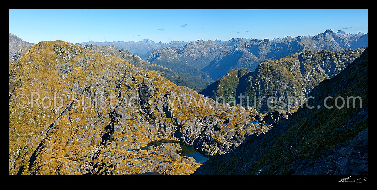 Image of Wapiti River tops. Looking down the Massacre Gully tributary towards Lake Hankinson. Glaisnock Wilderness Area, Fiordland National Park, Southland District, Southland Region, New Zealand (NZ) stock photo image