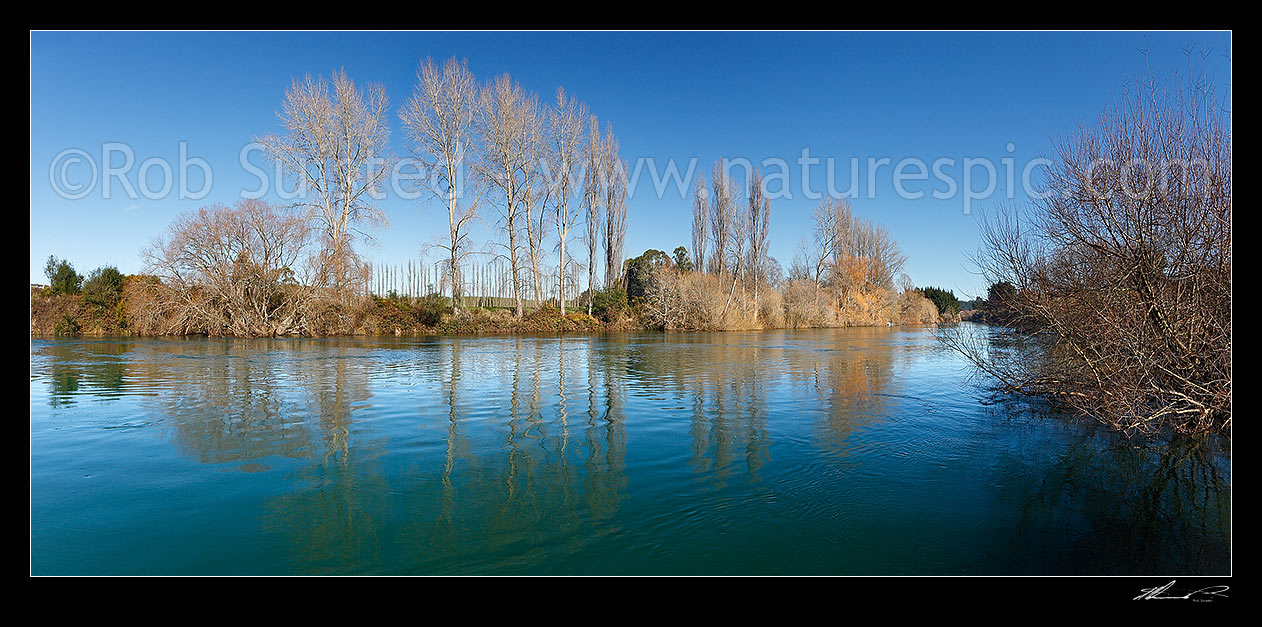 Image of Waikato River passing through willow tree lined banks and farmland, in mid winter. Summer winter comparision shots available (35994fr00, 39602fr00 etc), Mihi, Rotorua, Rotorua District, Bay of Plenty Region, New Zealand (NZ) stock photo image