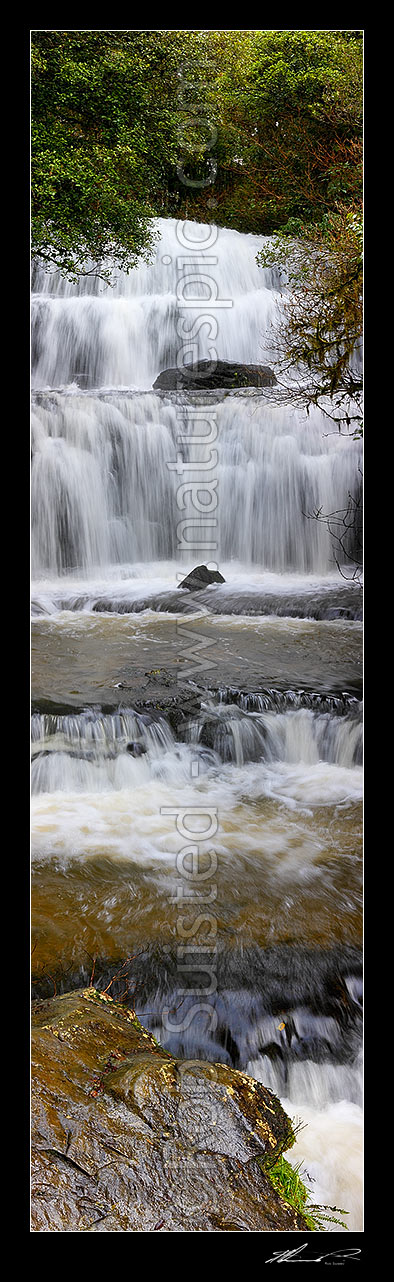 Image of Waterfall cascading over several falls into pool. Purakaunui River falls. Massive vertical panorama, Catlins, Clutha District, Otago Region, New Zealand (NZ) stock photo image