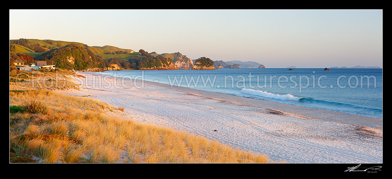 Image of Whiritoa Beach panorama at sunrise. Coromandel Peninsula. Panorama, Whiritoa Beach, Thames-Coromandel District, Waikato Region, New Zealand (NZ) stock photo image