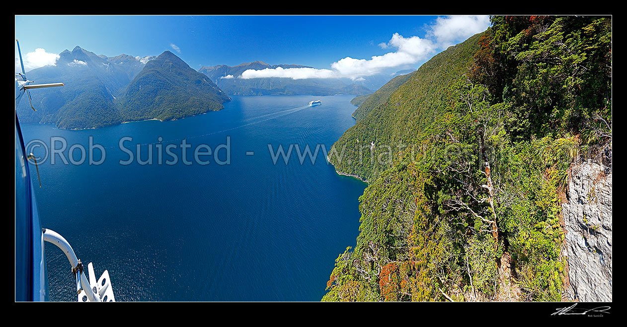 Image of Aerial view from helicopter of cruise ship travelling down Thompson Sound towards Doubtful Sound. Secretary Island right, with Southern Rata in flower, Thompson Sound, Fiordland National Park, Southland District, Southland Region, New Zealand (NZ) stock photo image