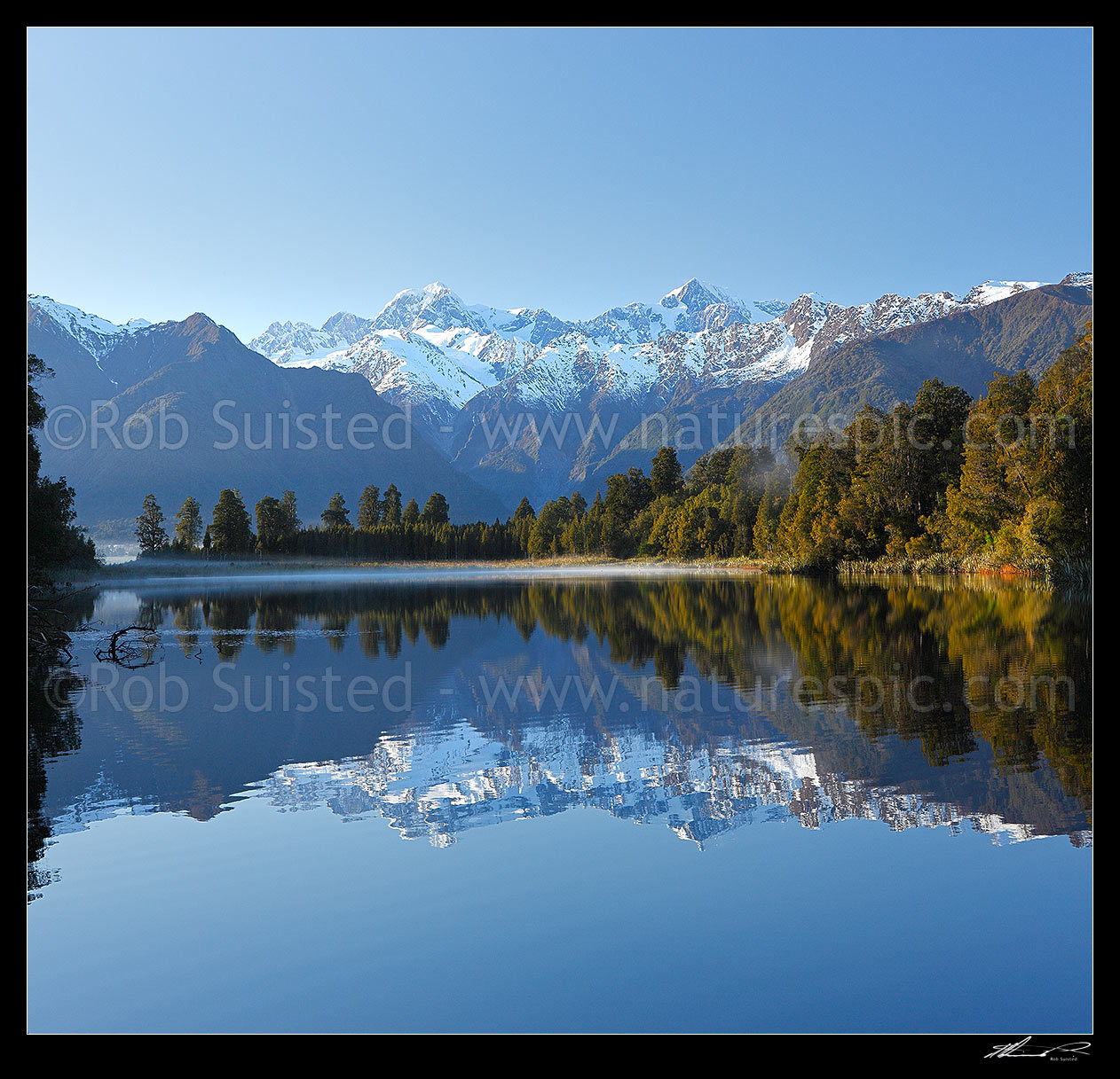 Image of Lake Matheson. Morning calm reflections on lake with Aoraki / Mount Cook (right;3754m) and Mount Tasman (left;3498m). Square format. South Westland, Westland National Park, Westland District, West Coast Region, New Zealand (NZ) stock photo image