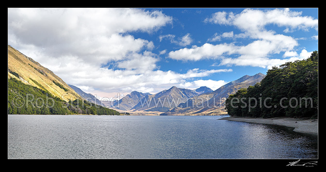 Image of North Mavora Lake nestled between the Livingstone and Thomson Mountains ranges. Snowdon Forest Conservation Area & Mararoa River Valley panorama, Mavora Lakes, Te Anau, Southland District, Southland Region, New Zealand (NZ) stock photo image