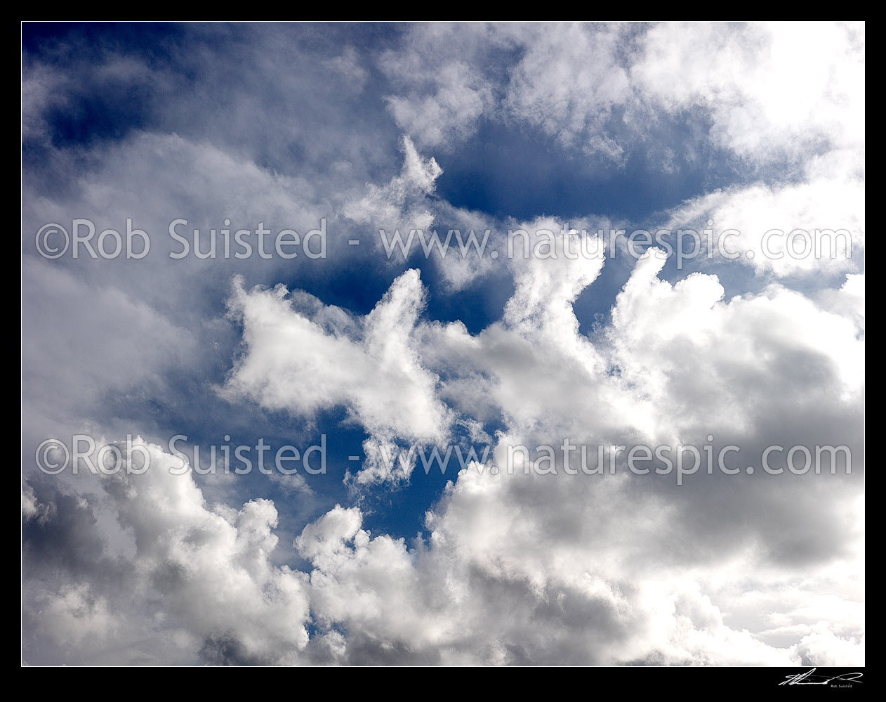 Image of White fluffy clouds in blue sky. Very large panorama file suitable for murals!, New Zealand (NZ) stock photo image