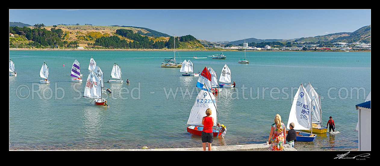 Image of Titahi Bay Boating club optimist class boat racing regatta for young people on Porirua Harbour, with city beyond. Parents looking on. Panorama, Titahi Bay, Porirua City District, Wellington Region, New Zealand (NZ) stock photo image