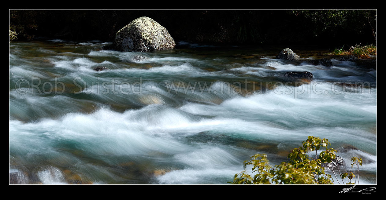 Image of Buller River passing through rapids and rocks near Lake Rotoiti and its headwaters. Panorama, Nelson Lakes National Park, Tasman District, Tasman Region, New Zealand (NZ) stock photo image